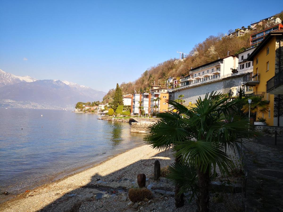 1 Zimmer Apartment Mit Seesicht Und Pool Gambarogno ภายนอก รูปภาพ