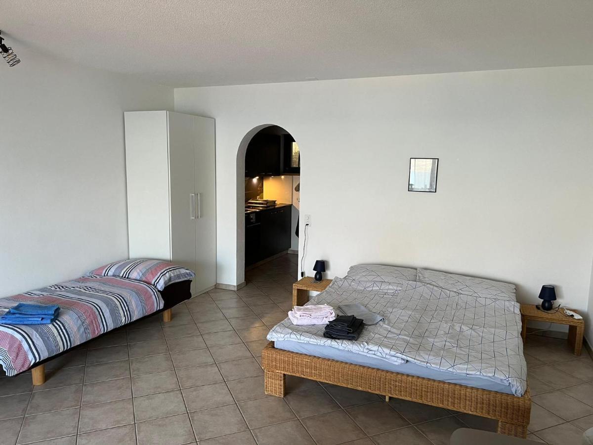 1 Zimmer Apartment Mit Seesicht Und Pool Gambarogno ภายนอก รูปภาพ
